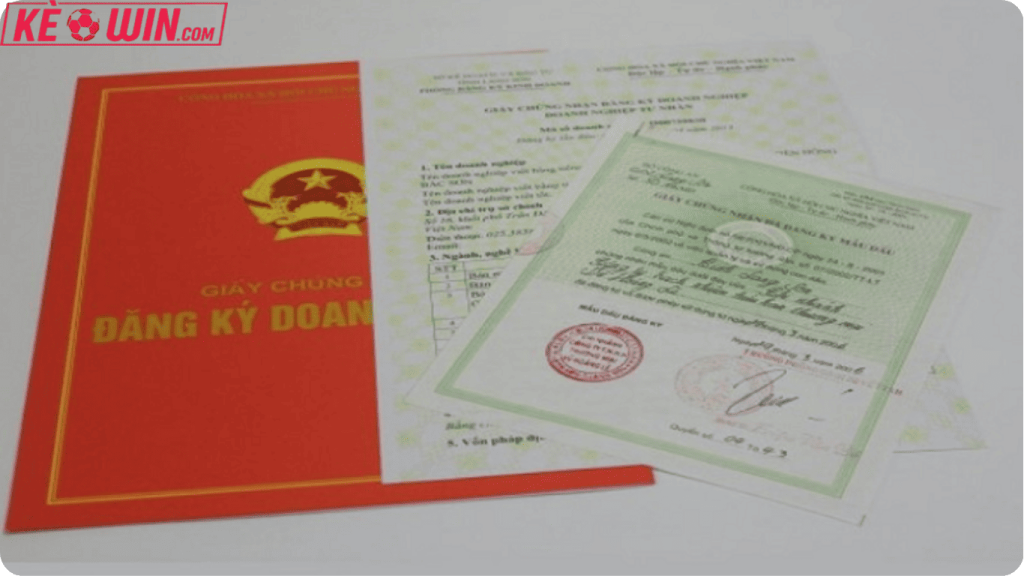 nearholding.io được cấp giấy phép hoạt động hợp pháp